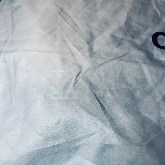 CHANEL and Coach White Dust Bags - Picture 12 of 13